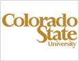 CSU Proposes Layoffs and Tuition Increase